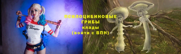 PSILOCYBIN Баксан