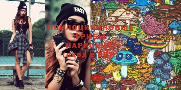 PSILOCYBIN Баксан